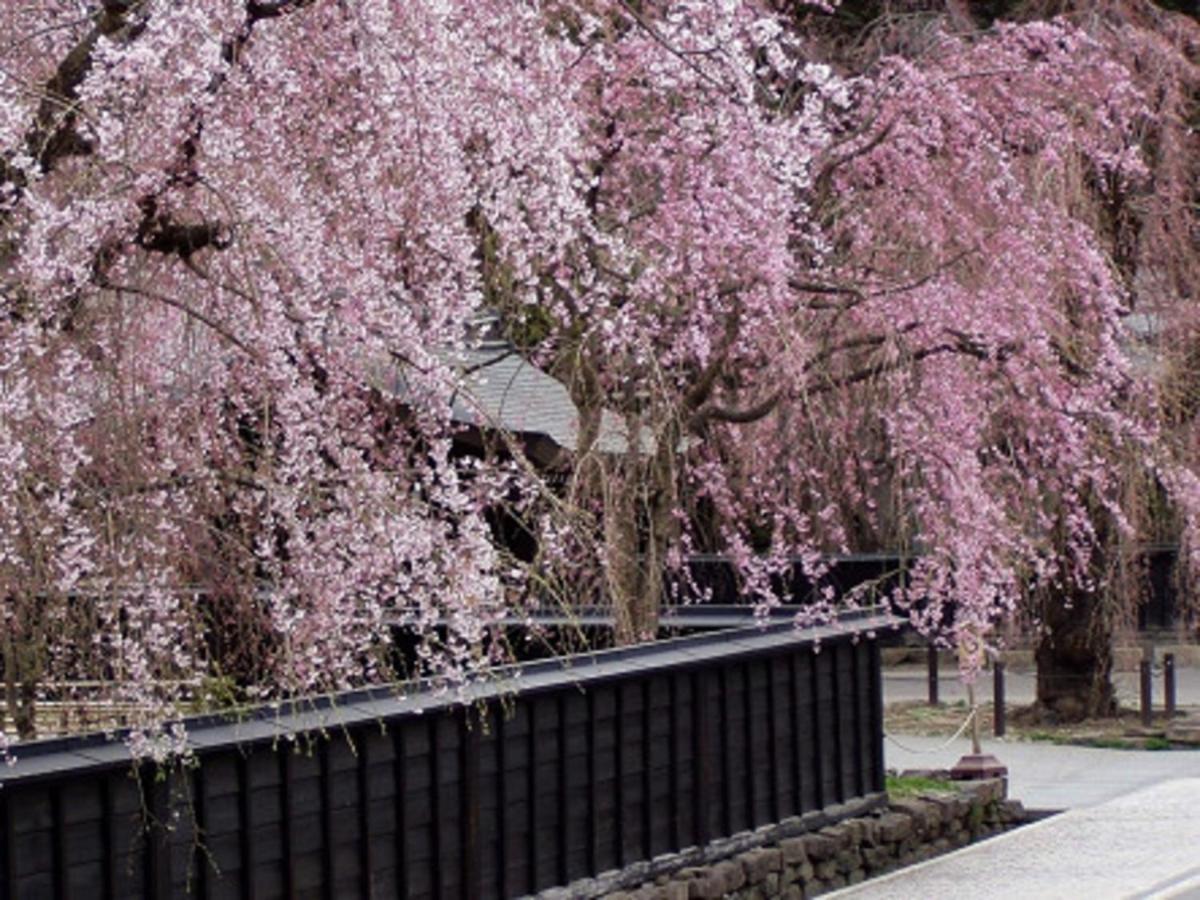 Tamachi Bukeyashiki Hotel - Vacation Stay 20163V 大仙市 エクステリア 写真