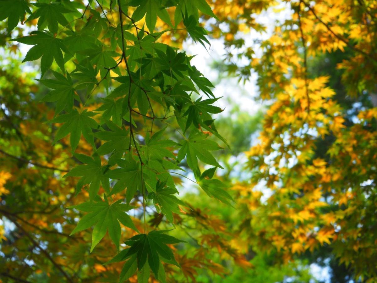 Tamachi Bukeyashiki Hotel - Vacation Stay 20163V 大仙市 エクステリア 写真